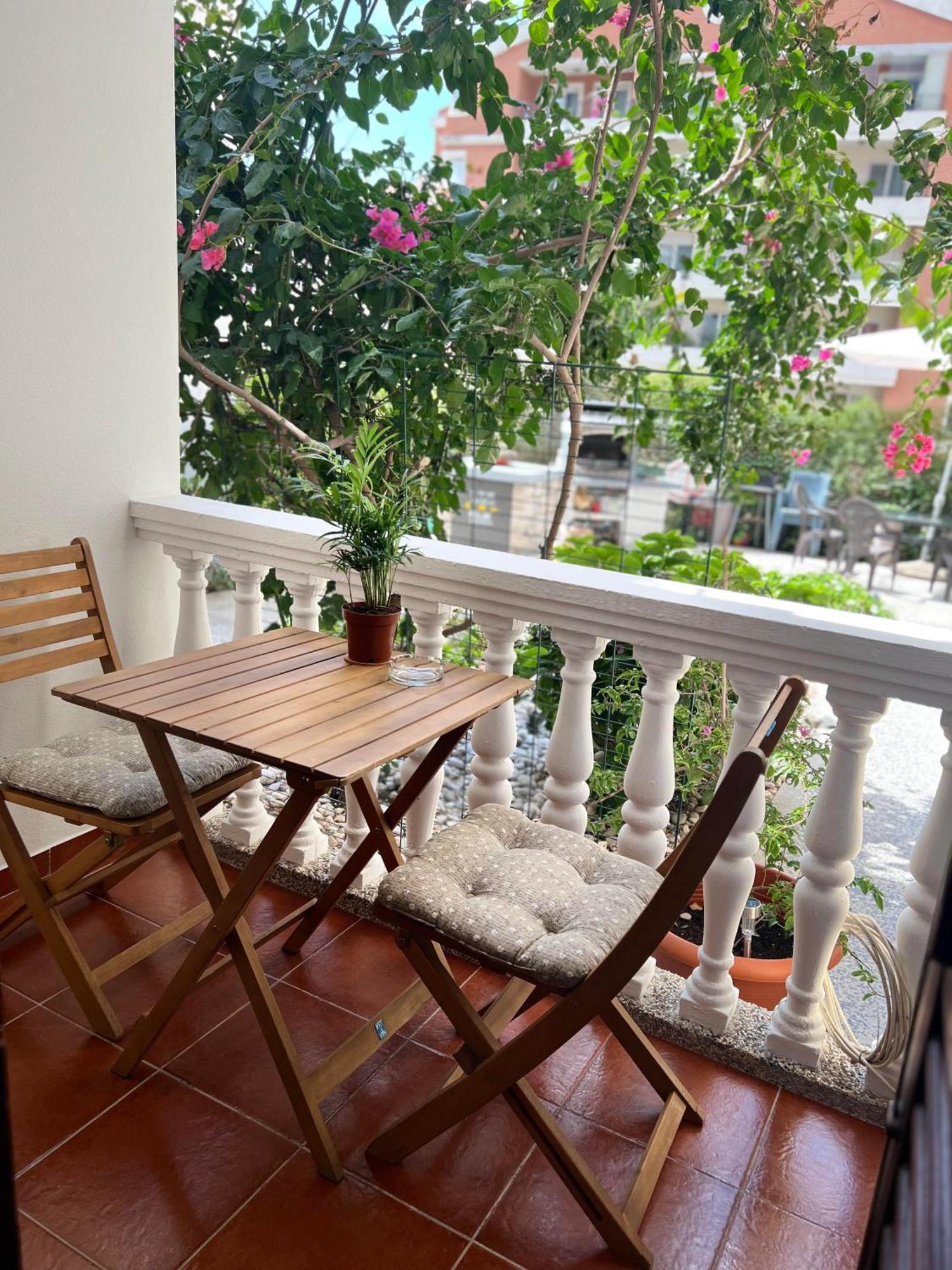 Apartment Dionis Budva